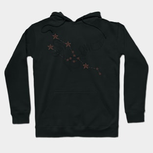 Zodiac sign Taurus Hoodie